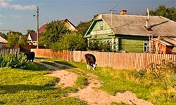 русские сериалы про деревню и деревенскую жизнь