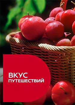 Вкус путешествий